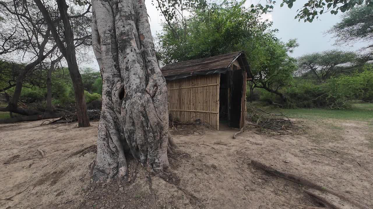 一个质朴的小屋坐落在宁静的乡村景观中，展示了自然之美和宁静视频素材