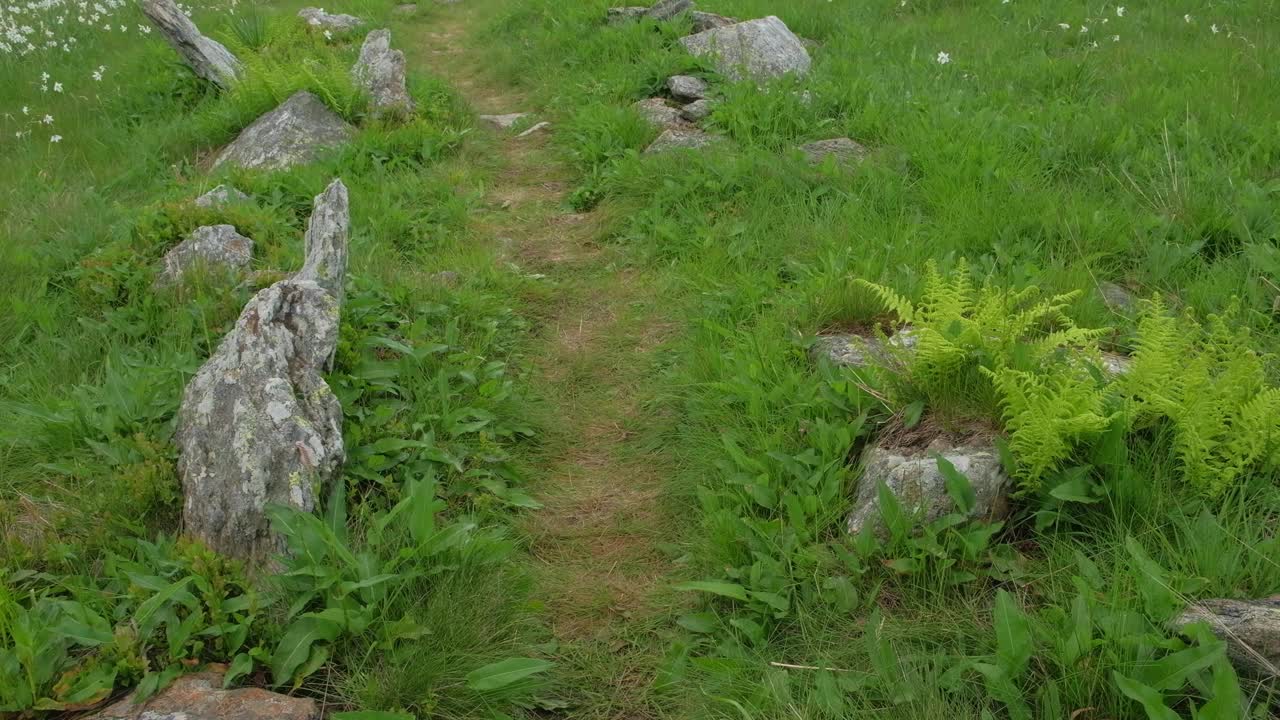 雾天，山间草地上一条铺好的小路的全景图视频下载