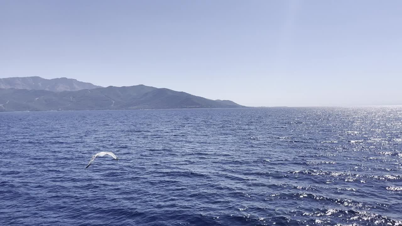 海鸥飞过宁静的海洋，背景是群山视频下载