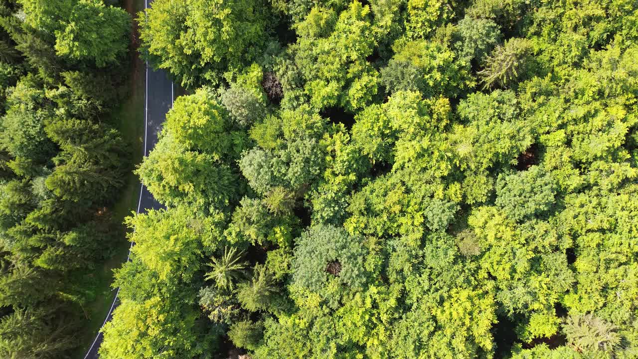 俯瞰绿色山林中的道路视频下载