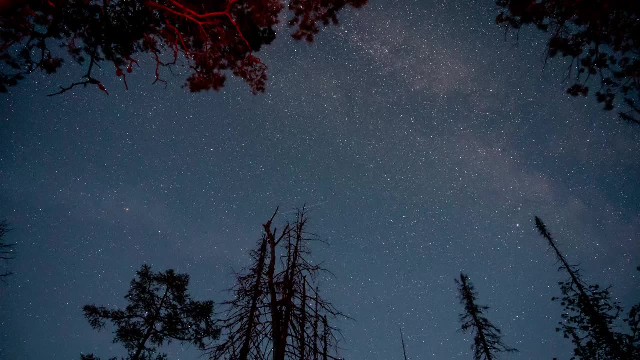 星空漫过森林树木，银河时光流逝视频下载