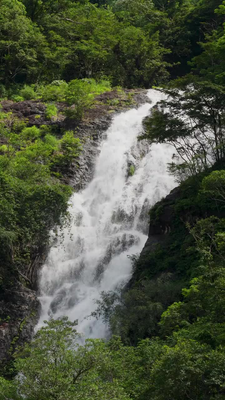 美丽的大瀑布在泰国的森林旅游地点的景观。视频素材