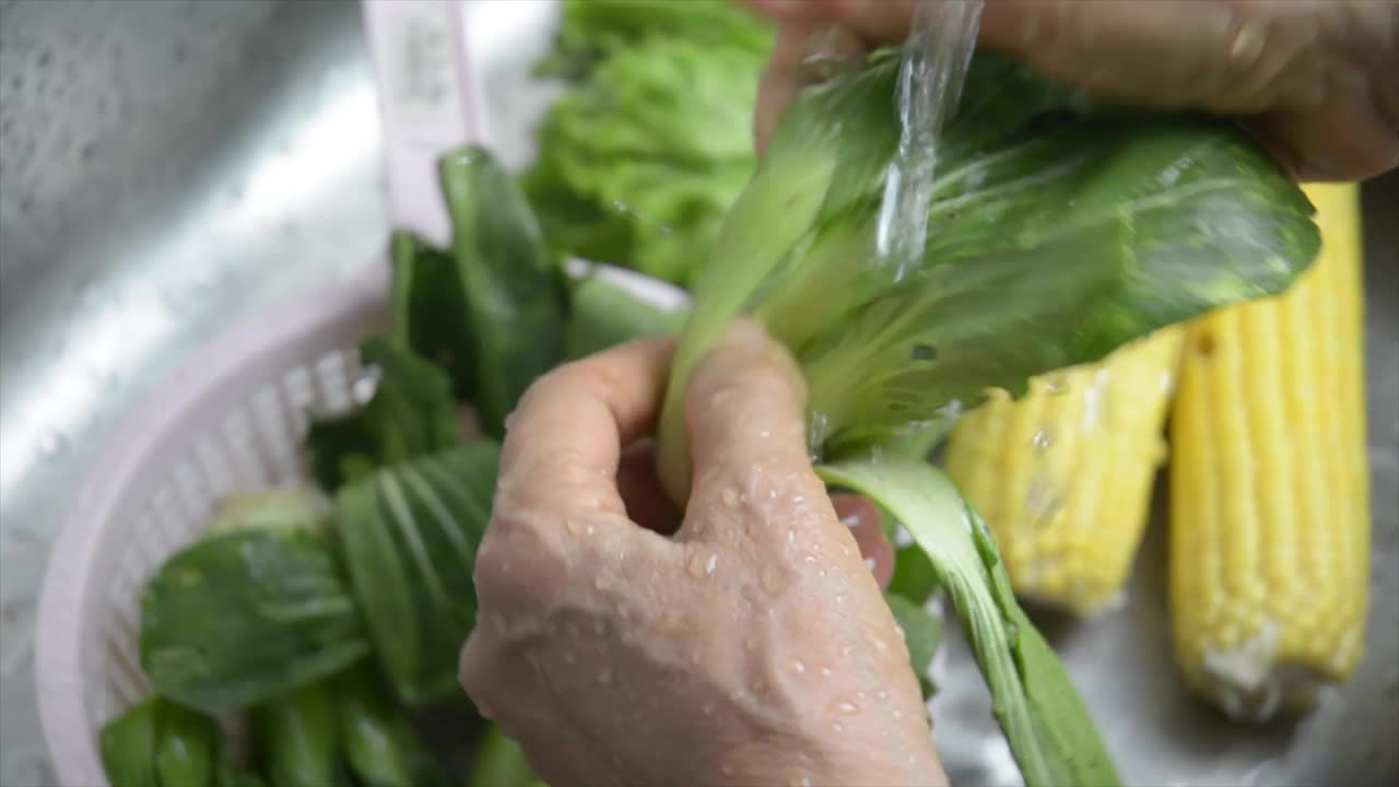 用淡水清洗芥菜的镜头视频下载