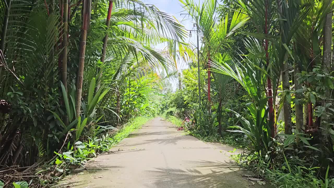 清晨，越南湄公河三角洲永隆省Mang Thit区村庄狭窄的街道。视频下载