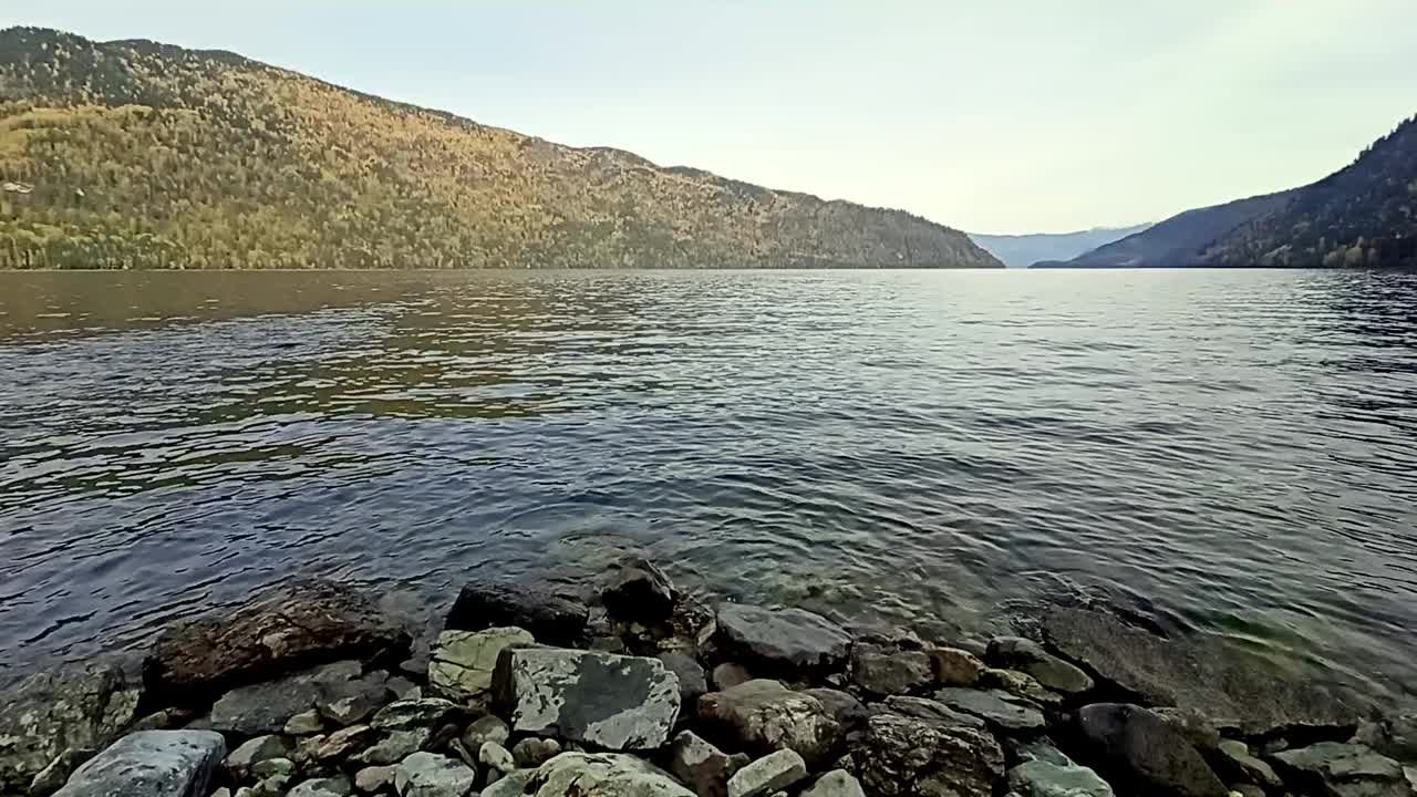 在一个阳光明媚的秋日，一个被高山环绕的美丽宽阔的湖岸边的岩石边缘。俄罗斯西伯利亚阿尔泰的特列茨科耶湖。视频下载