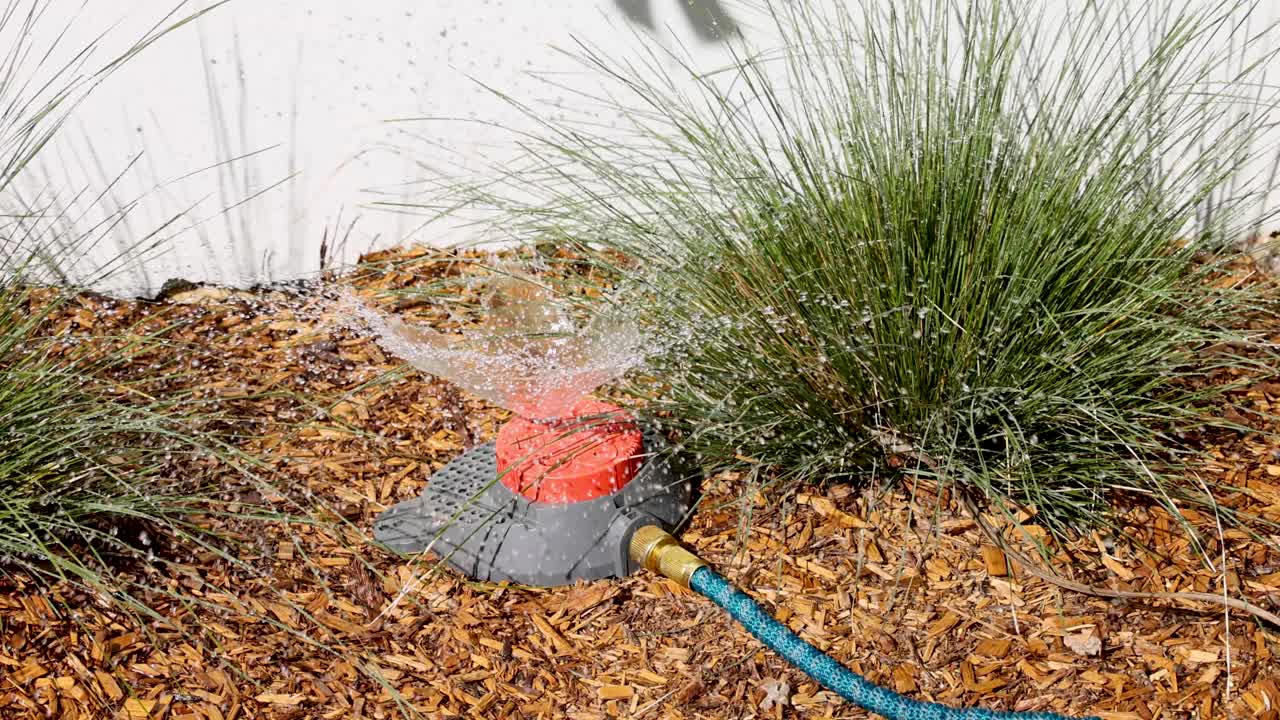 洒水器浇灌花园床视频下载