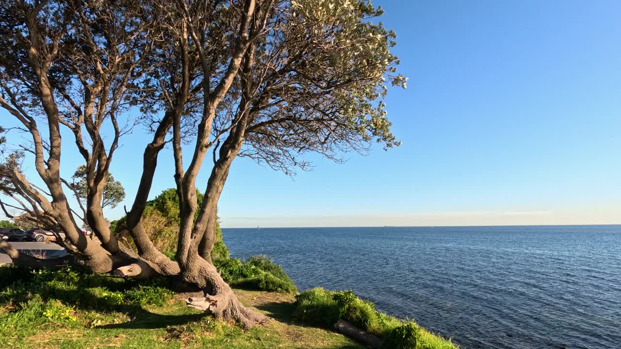 布莱顿海滩风景视频下载