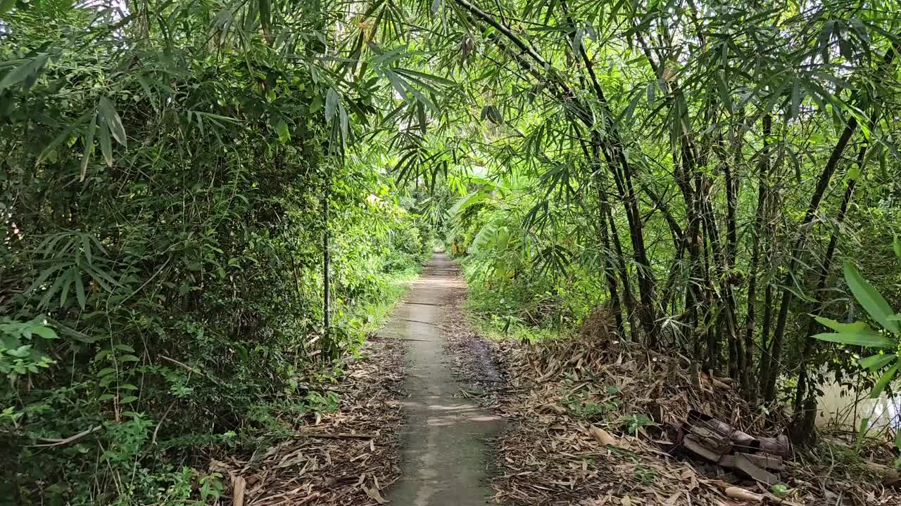 上午，越南湄公河三角洲永隆省Mang Thit区村庄的狭窄街道上行走的人。视频素材