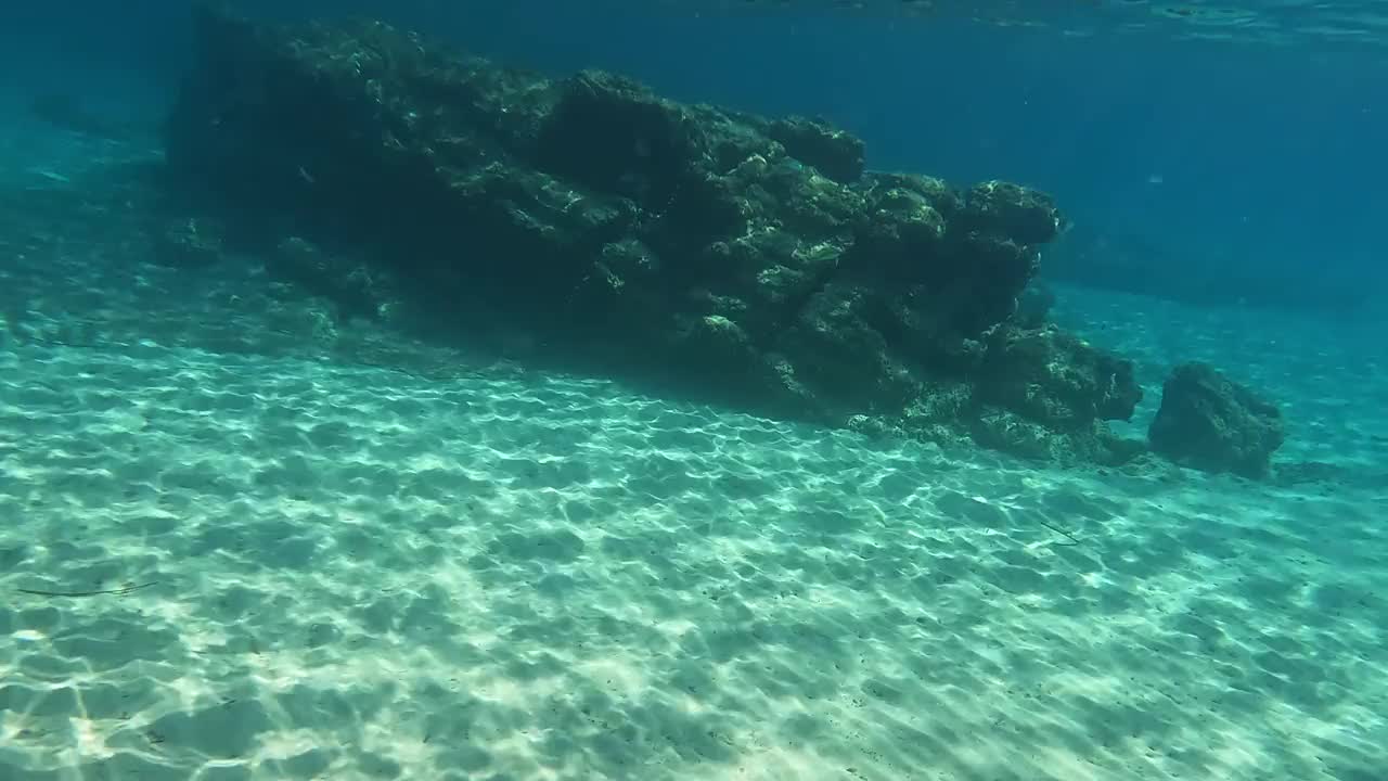 水下视频显示海底的一块大石头上有鱼在游泳。视频素材