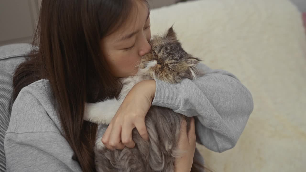 一位年轻的中国女子在家中舒适的客厅里亲吻她毛茸茸的宠物猫，在室内深情地拥抱小猫。视频素材