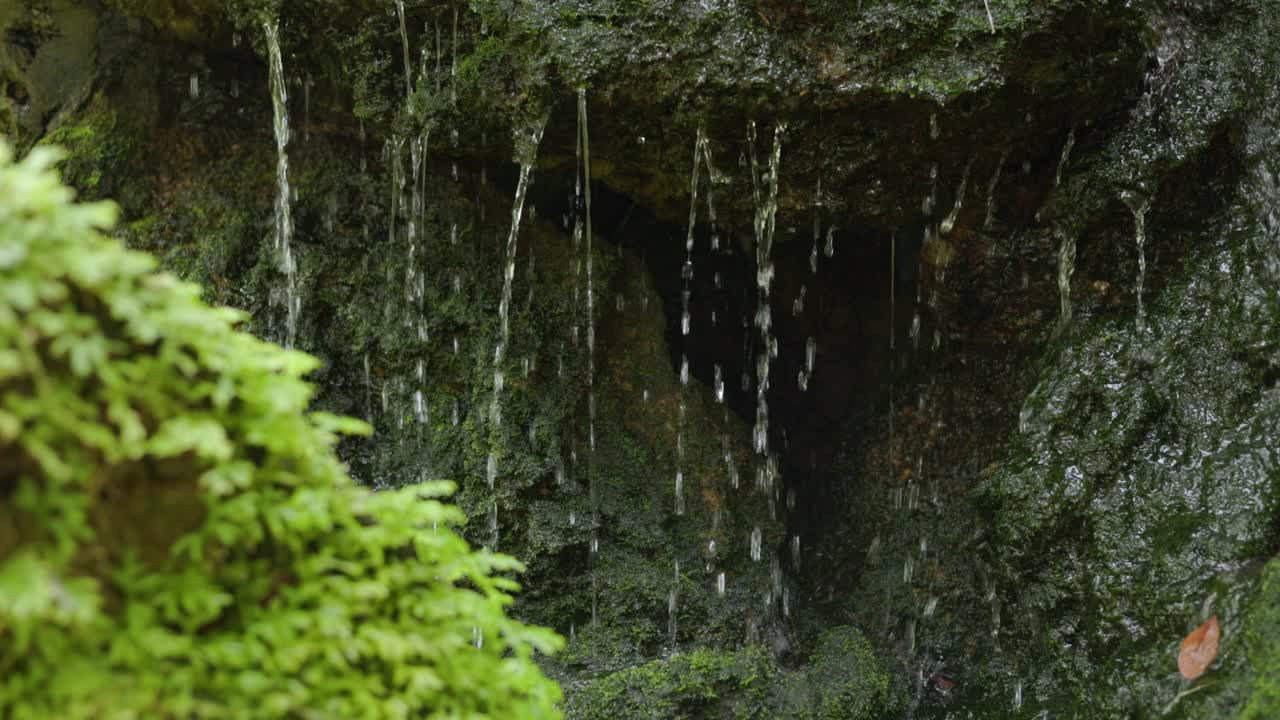 花园里的人工瀑布流淌着绿色的植物。视频素材