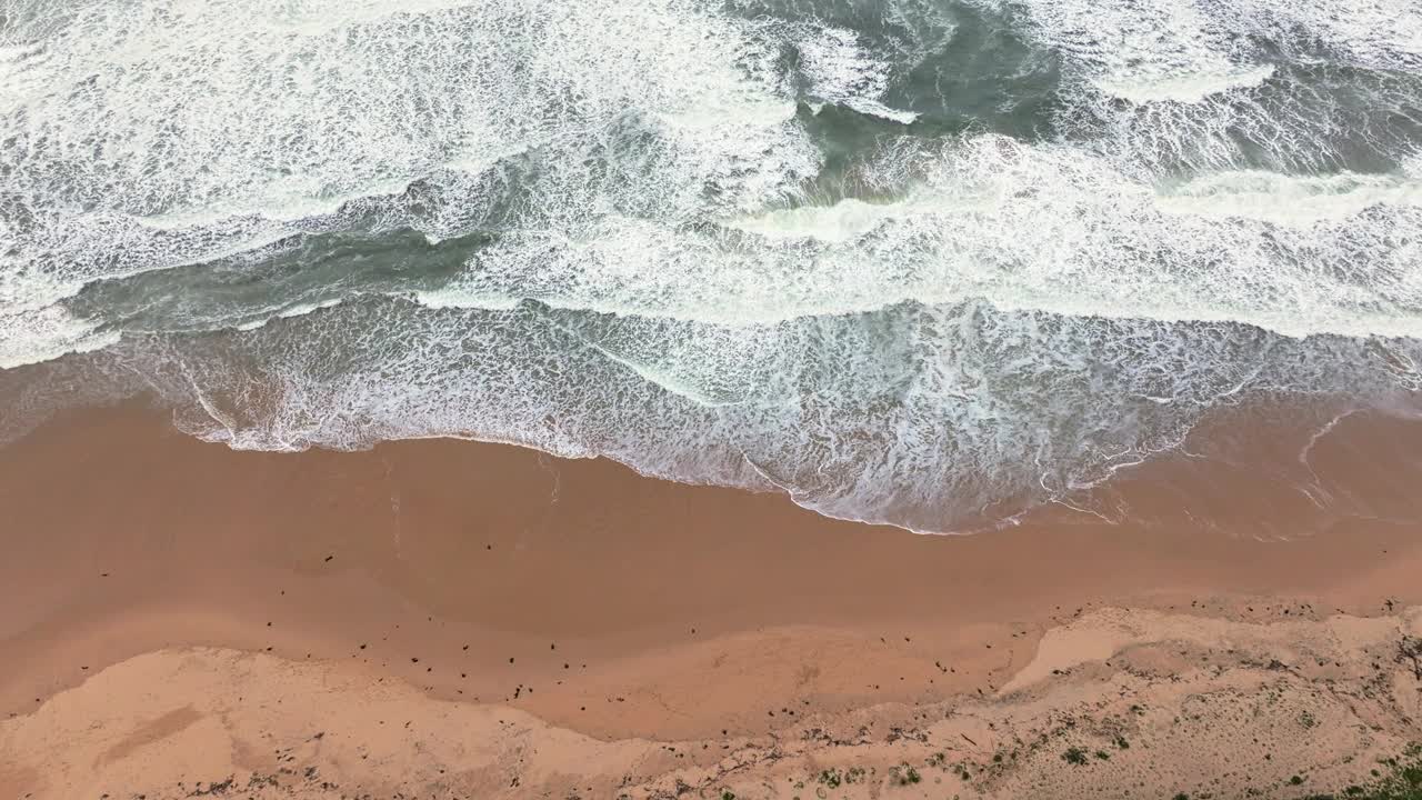 澳大利亚的海滨视频下载