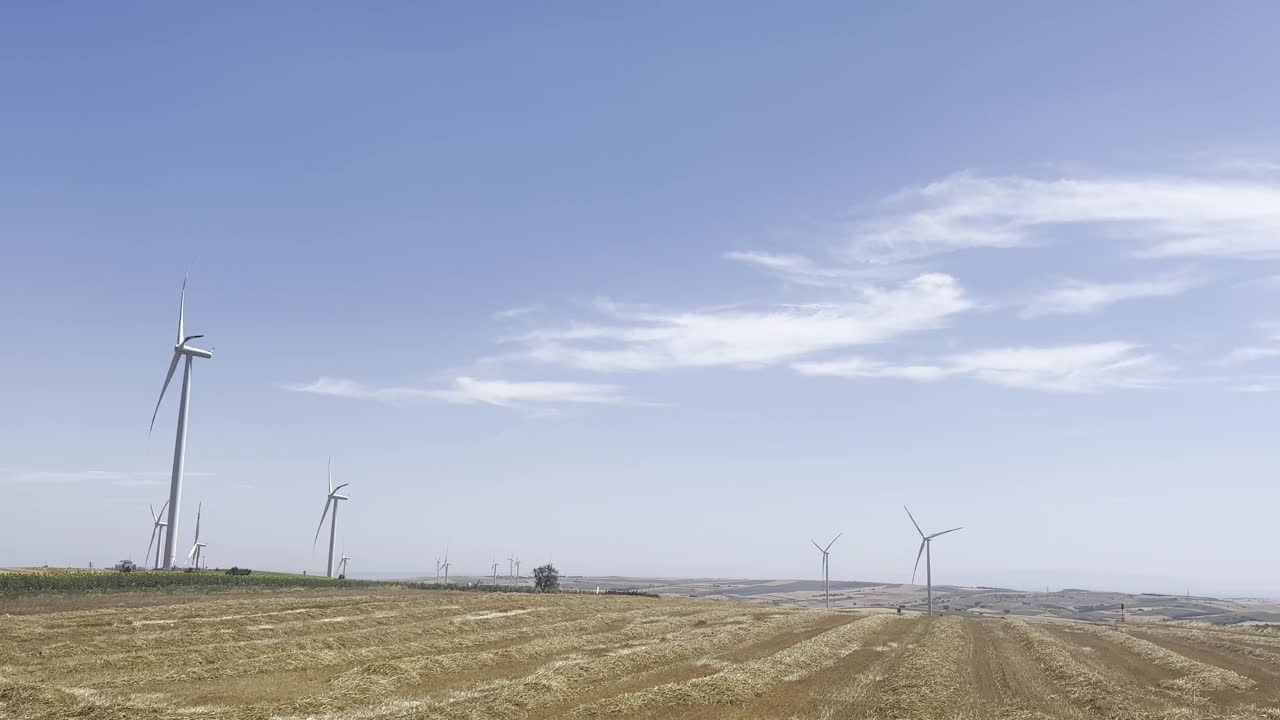 阳光明媚的夏日，向日葵地里的风力涡轮机视频下载