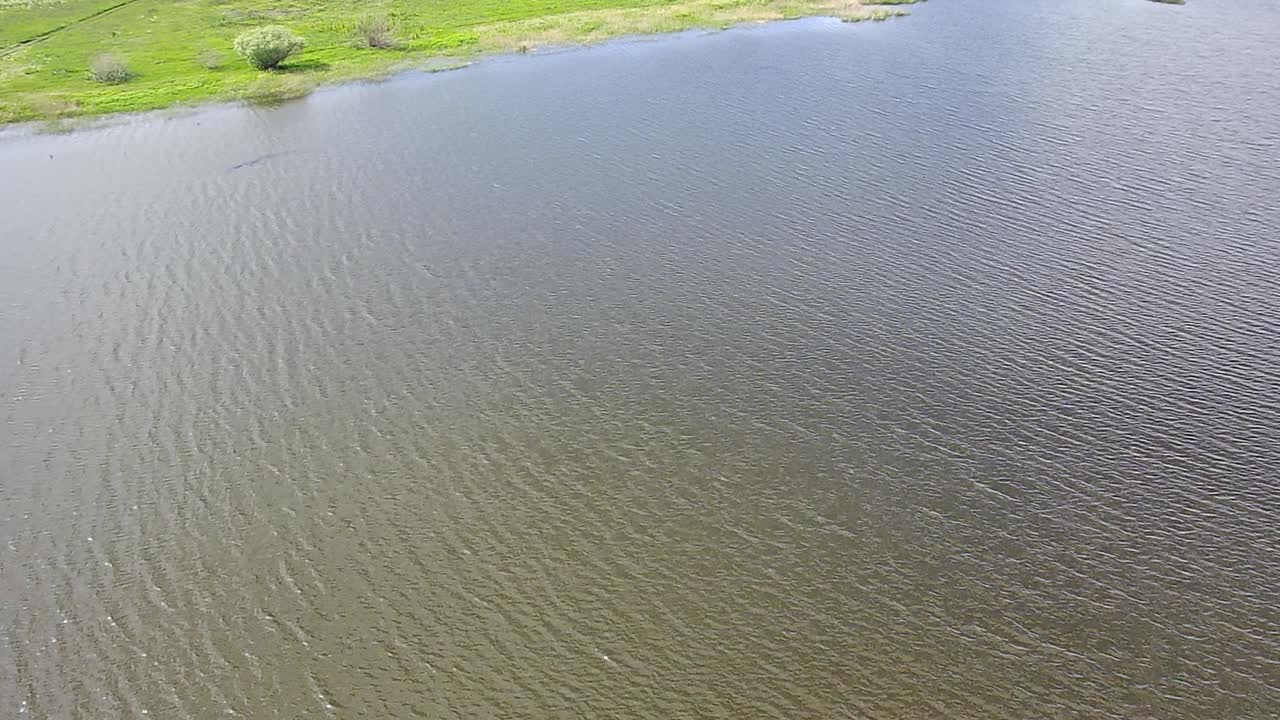 在一个阳光明媚的夏日傍晚，在一个大湖上空的高空飞行，降落在一个长满灌木和草的低河岸上。视频下载