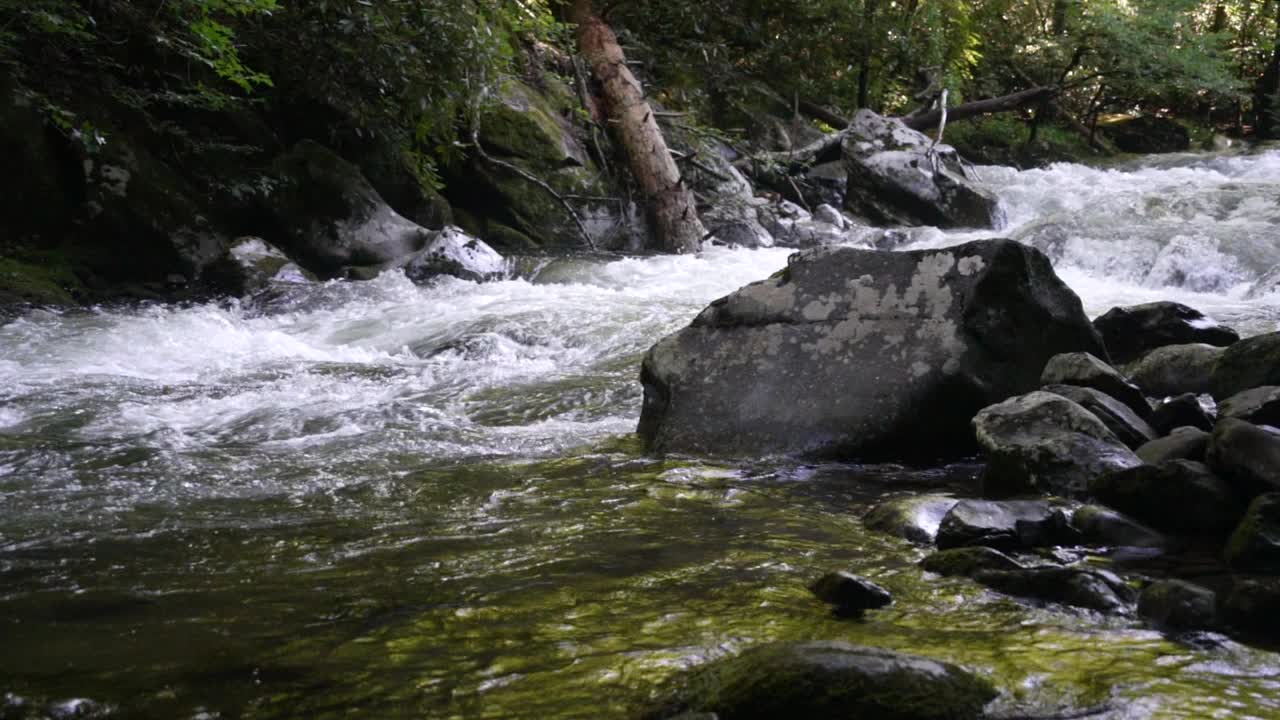 山涧流水的慢动作视频下载