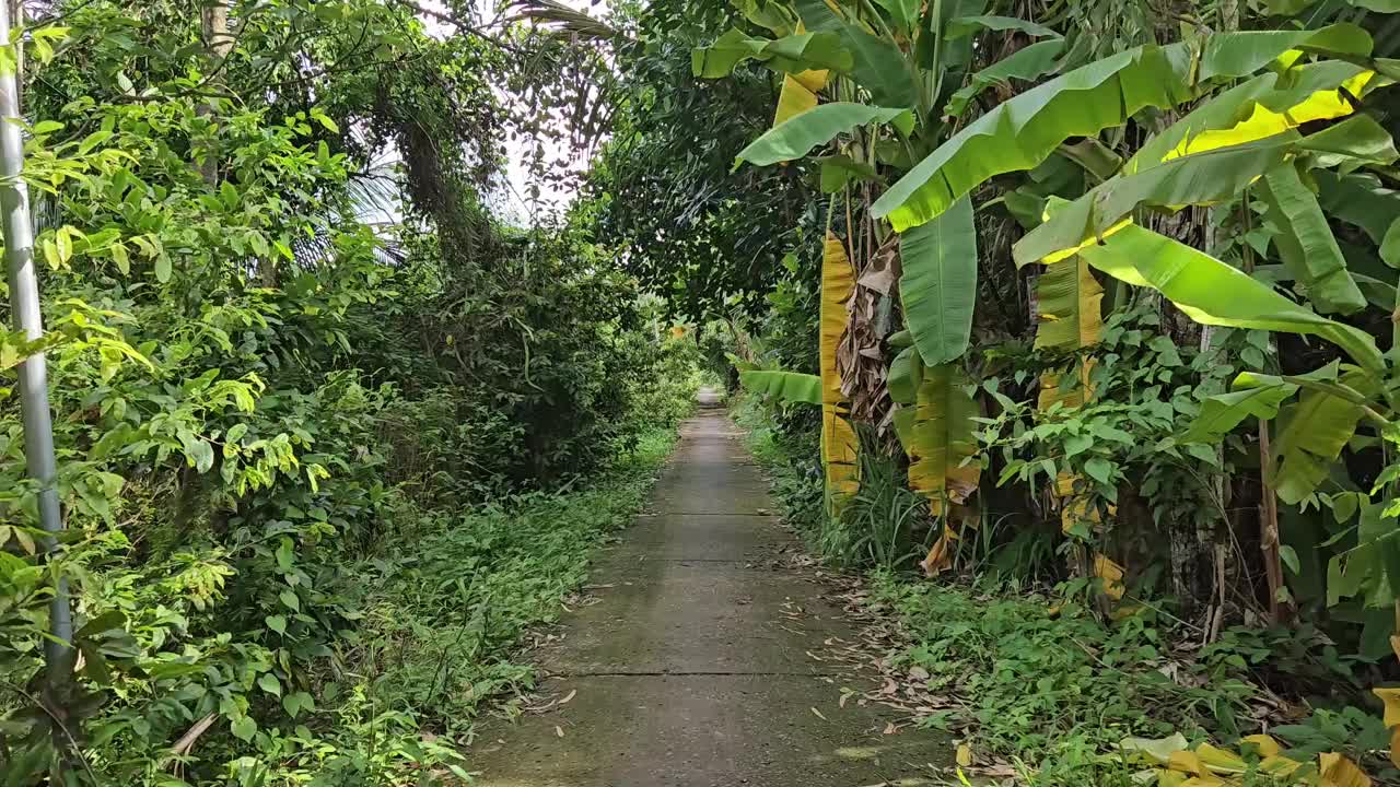 上午，越南湄公河三角洲永隆省Mang Thit区村庄的狭窄街道上行走的人。视频下载