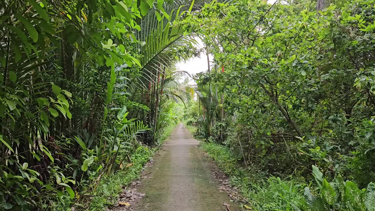 上午，越南湄公河三角洲永隆省Mang Thit区村庄的狭窄街道上行走的人。视频下载