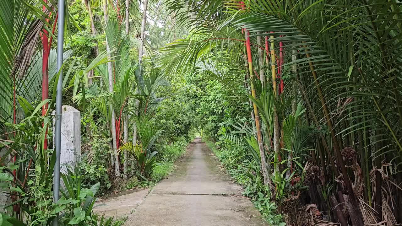 上午，越南湄公河三角洲永隆省Mang Thit区村庄的狭窄街道上行走的人。视频下载