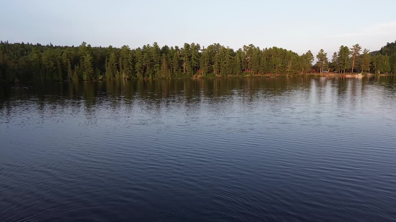 飞越湖面视频素材