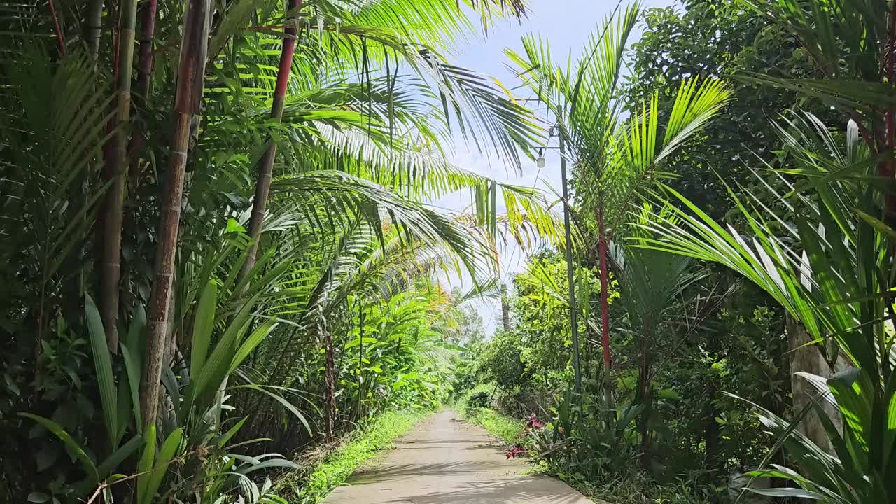 清晨，越南湄公河三角洲永隆省芒提区乡村狭窄的乡村街道。视频素材