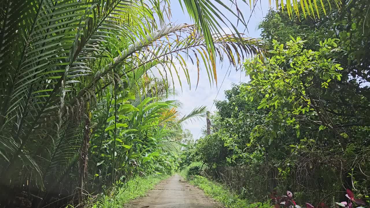 清晨，越南湄公河三角洲永隆省Mang Thit区村庄狭窄的街道。视频下载