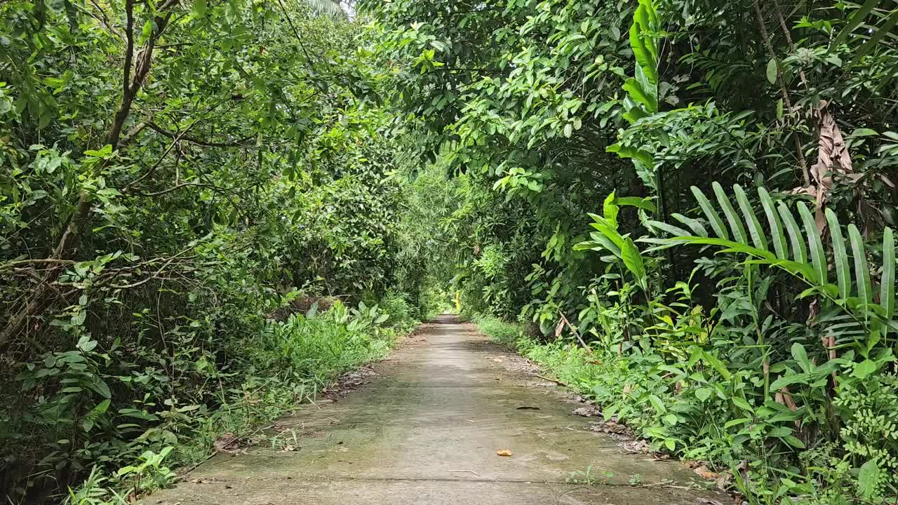 清晨，越南湄公河三角洲永隆省Mang Thit区村庄狭窄的街道。视频下载