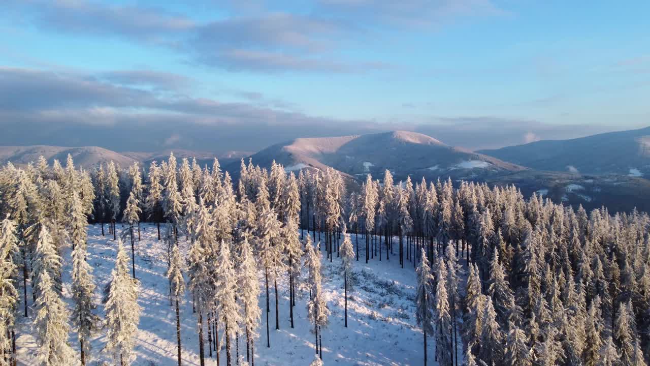 冬日夕阳下的白雪皑皑的贝斯基山。冬天的童话。4 k的视频视频下载