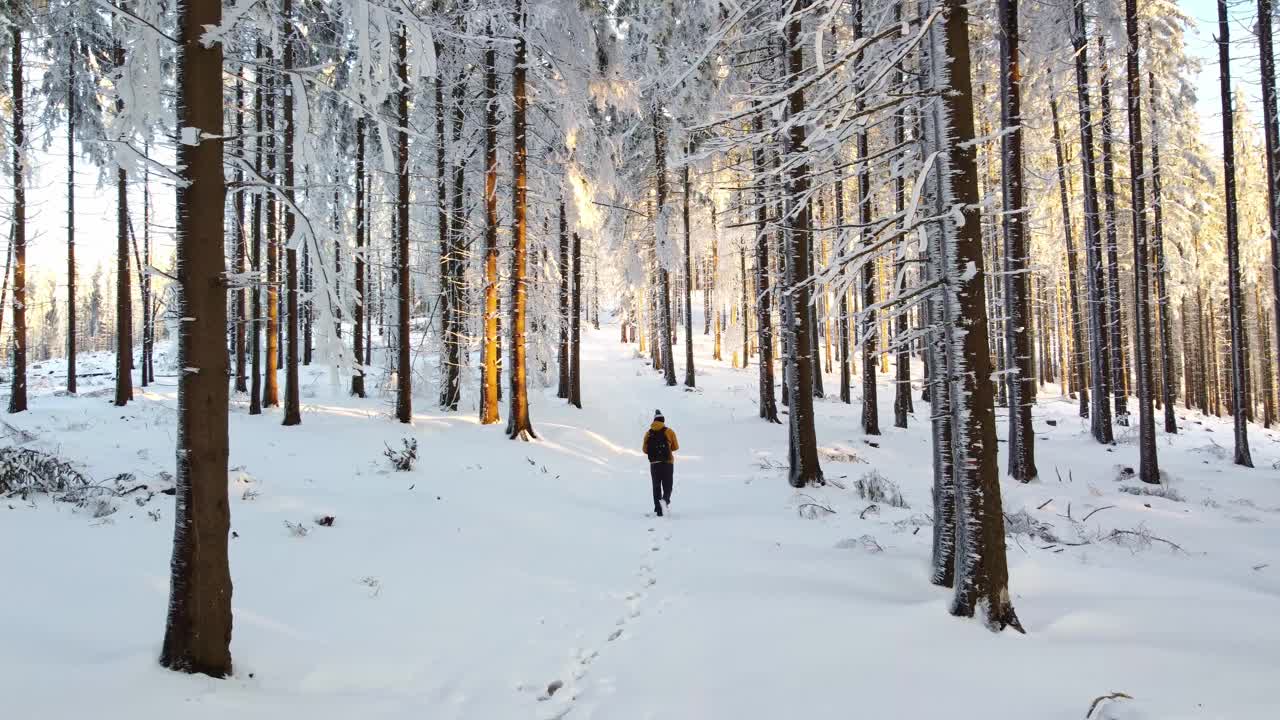 爱冒险的旅行者背着双肩包，在白雪皑皑的荒野中漫步。在雪地里跋涉。视频素材