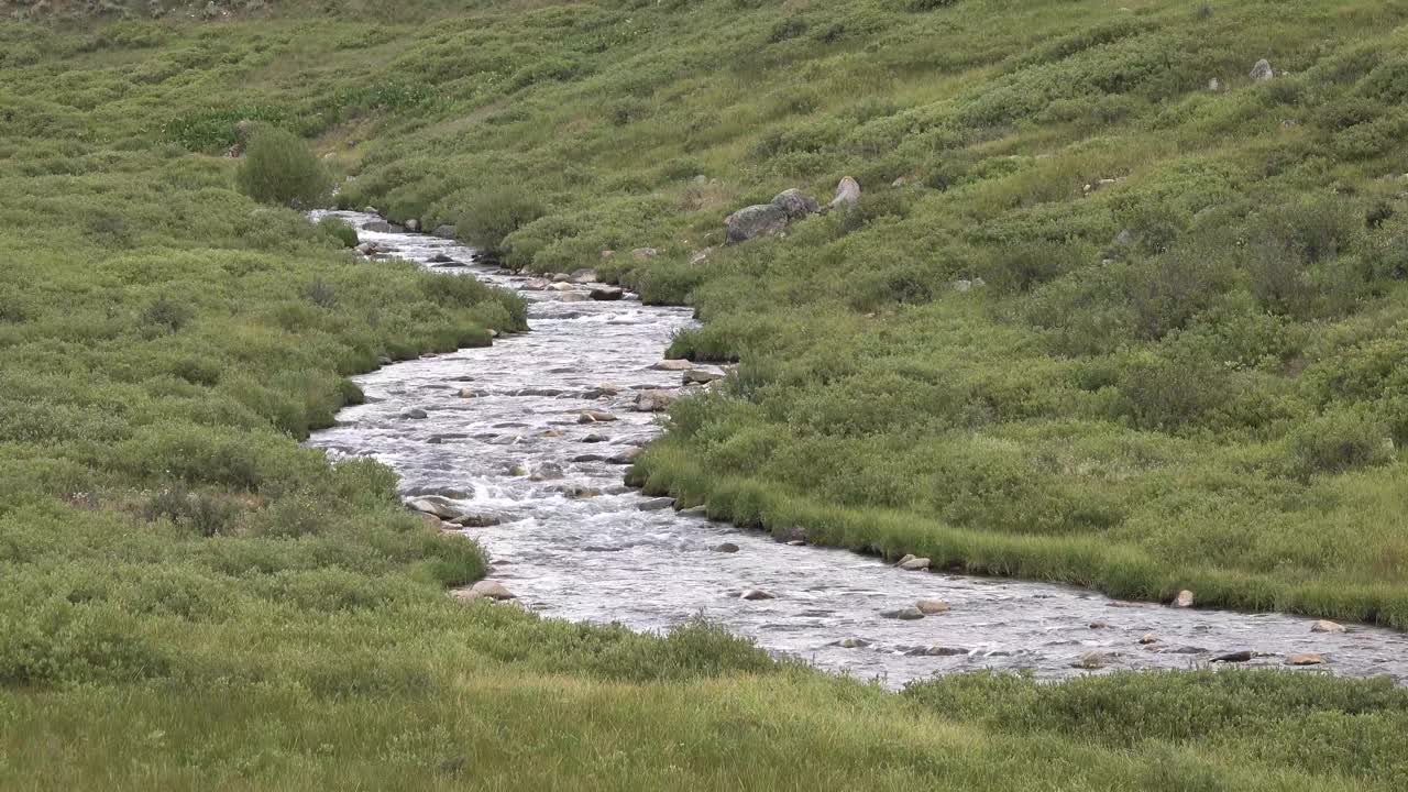 春天的小河视频素材