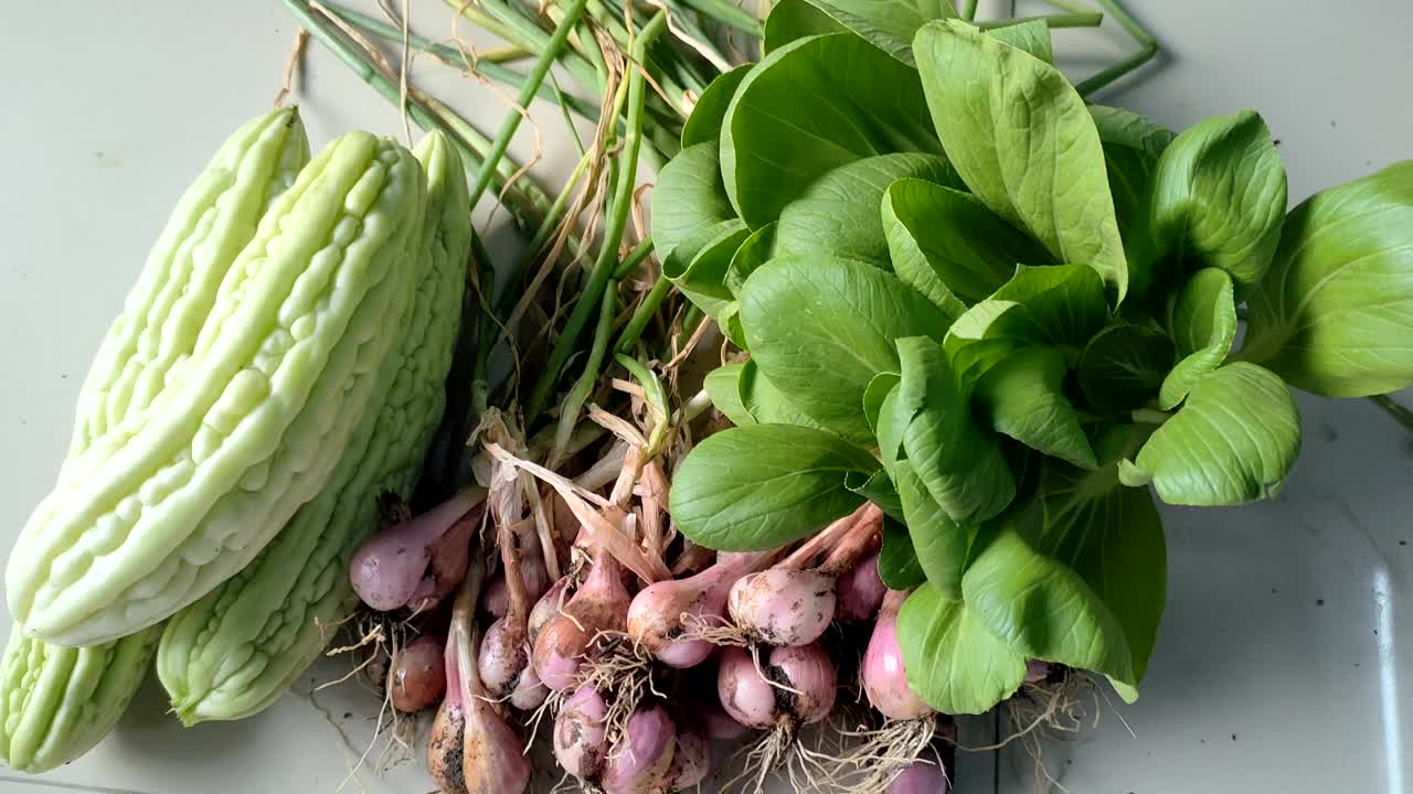 从花园里收获水果和蔬菜视频下载