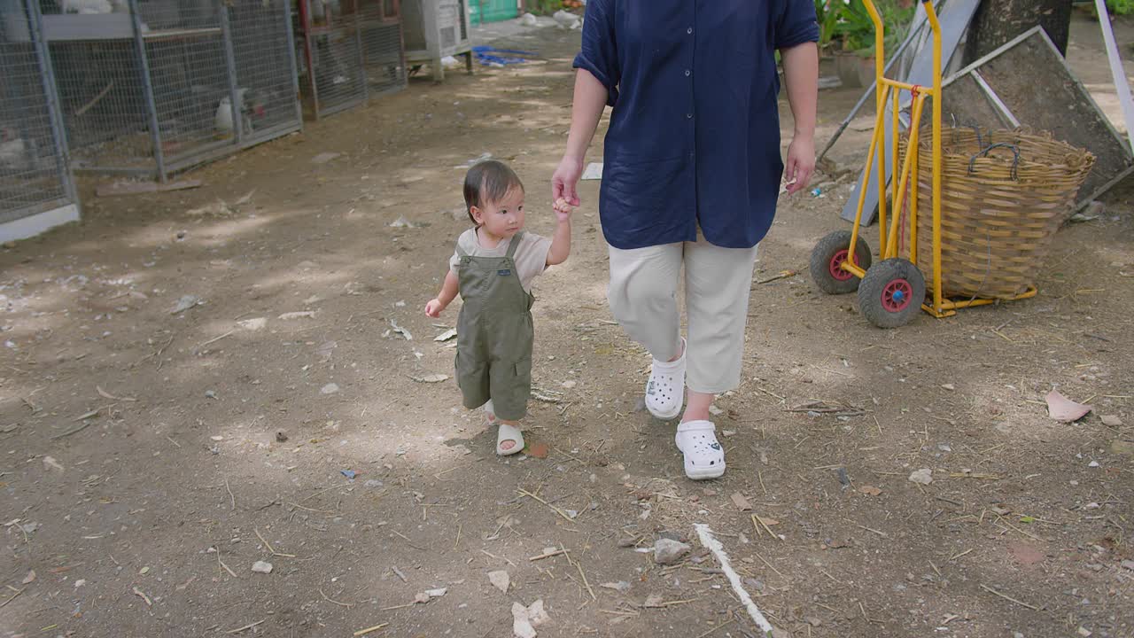 在一个阳光明媚的日子里，一个刚学会走路的亚洲孩子牵着妈妈的手走在一个有鸡笼和郁郁葱葱的绿色植物的农村农场里视频素材