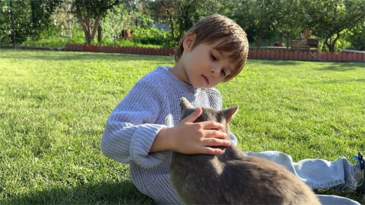 快乐的小男孩正抱着他最喜欢的灰猫，坐在院子里的绿草地上玩耍。快乐的家人和朋友视频下载