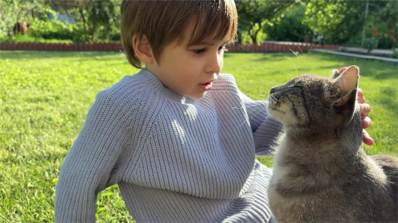 快乐的小男孩正抱着他最喜欢的灰猫，坐在院子里的绿草地上玩耍。快乐的家人和朋友视频素材