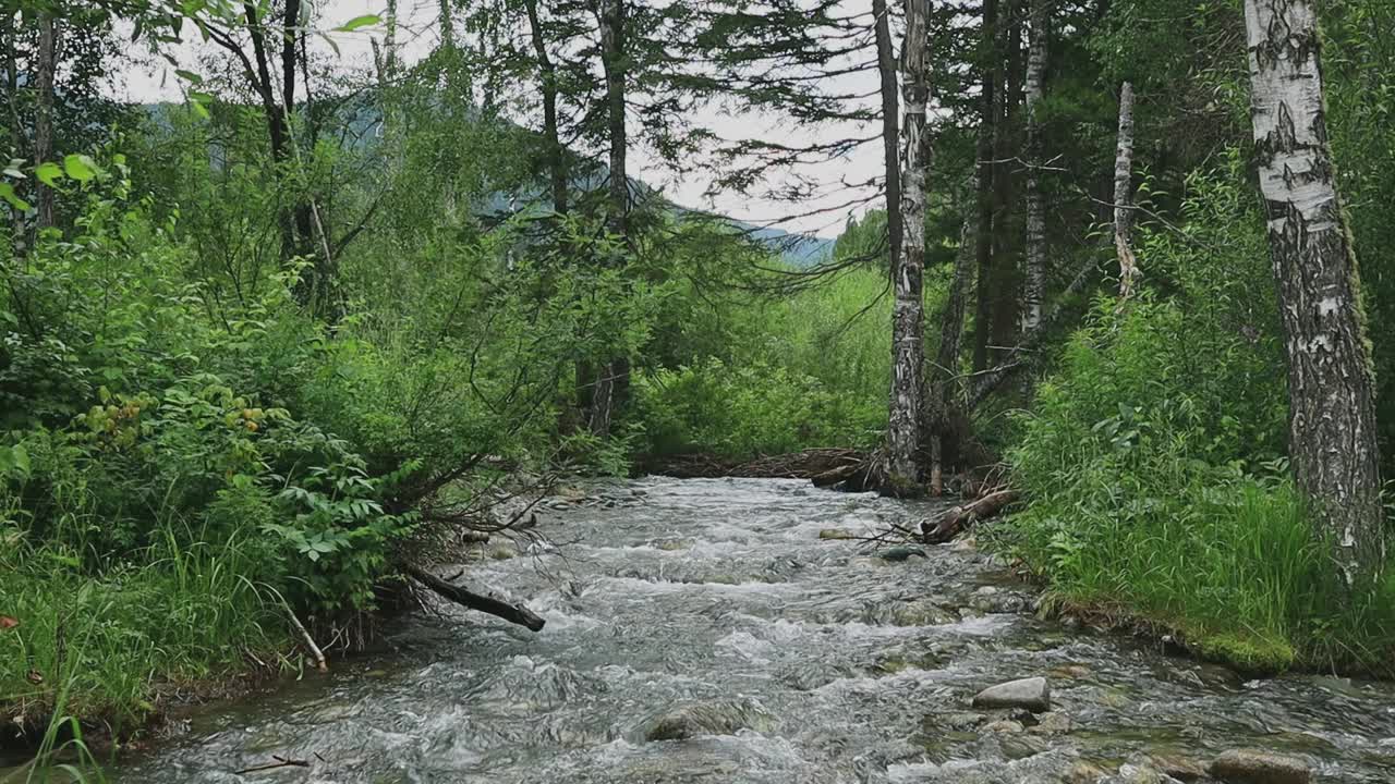 青山映衬着碧绿的山河视频素材