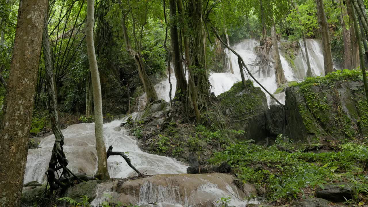 雨林中的瀑布。视频下载