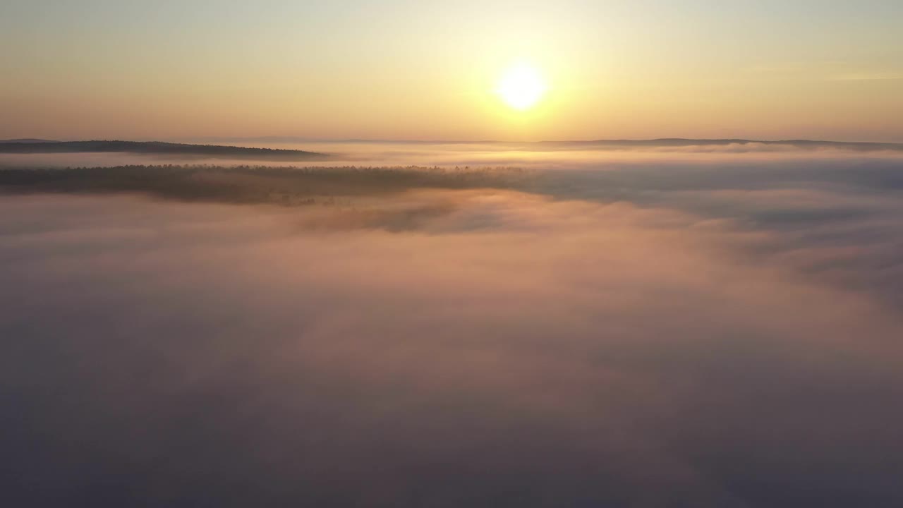 金色的日出在宁静的风景与滚动的雾视频下载