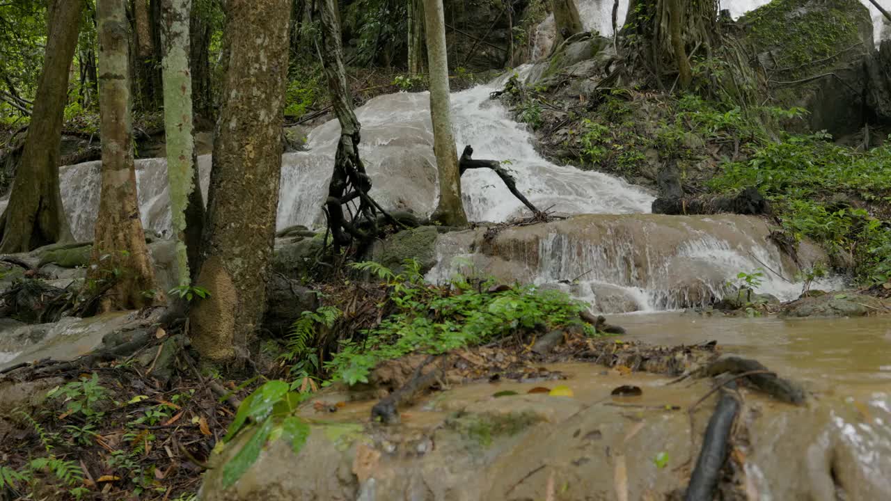 雨林中的瀑布。视频下载