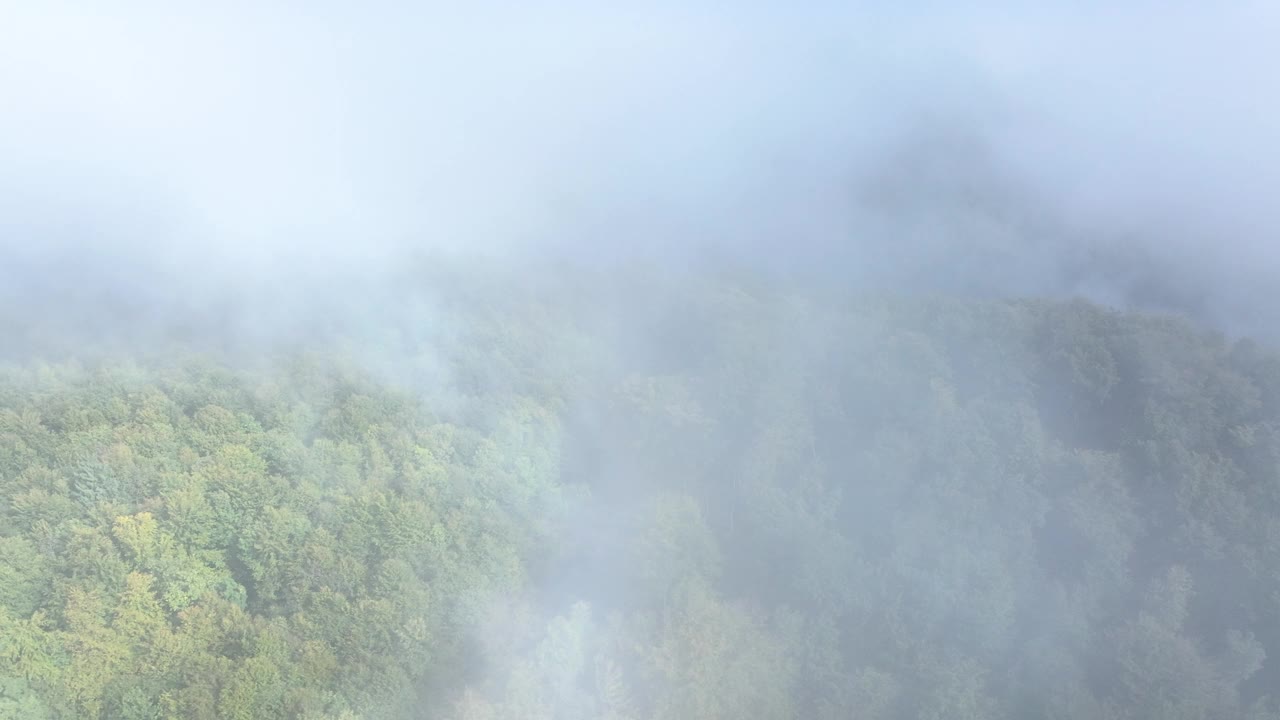 航拍:一片郁郁葱葱的混交林在秋天的阴影中，被浓密的晨雾遮蔽视频素材