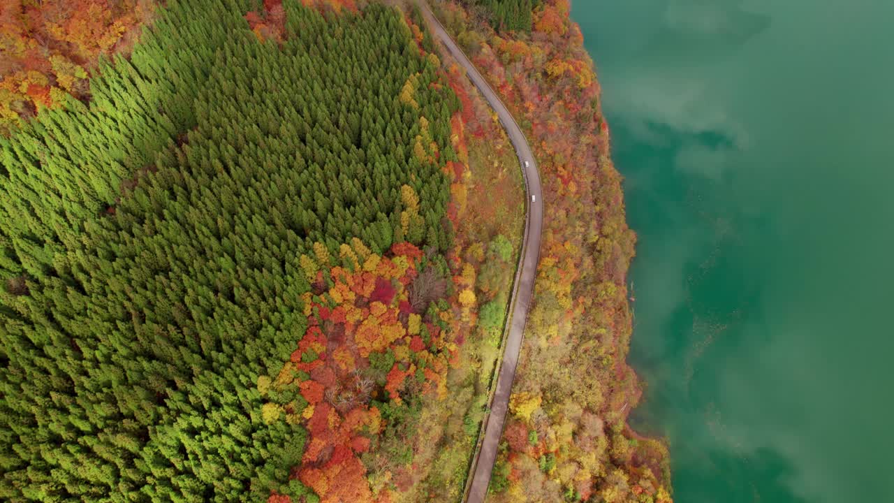 鸟瞰图:翠绿的湖水旁，生机勃勃的秋叶，十字桥和道路是中型社区的关键基础设施。视频素材