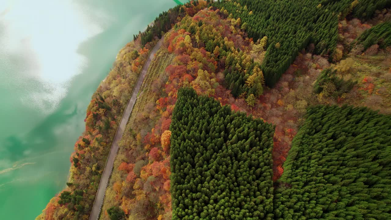 鸟瞰图:翠绿的湖水旁，生机勃勃的秋叶，十字桥和道路是中型社区的关键基础设施。视频素材