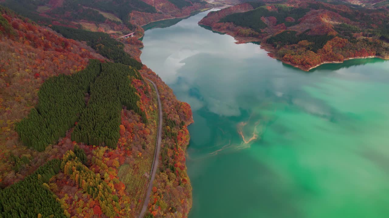 鸟瞰图:翠绿的湖水旁，生机勃勃的秋叶，十字桥和道路是中型社区的关键基础设施。视频素材