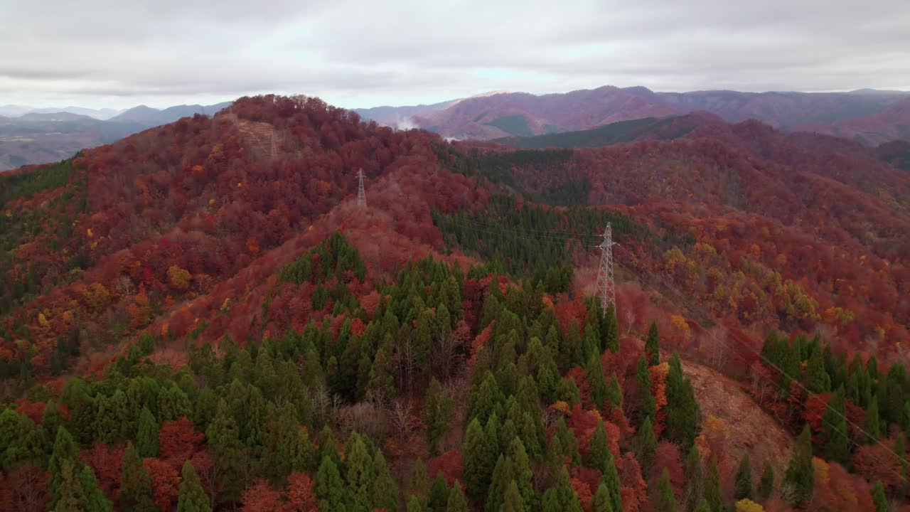 秋季自然景观中整合能源基础设施的高压电线杆鸟瞰图视频素材