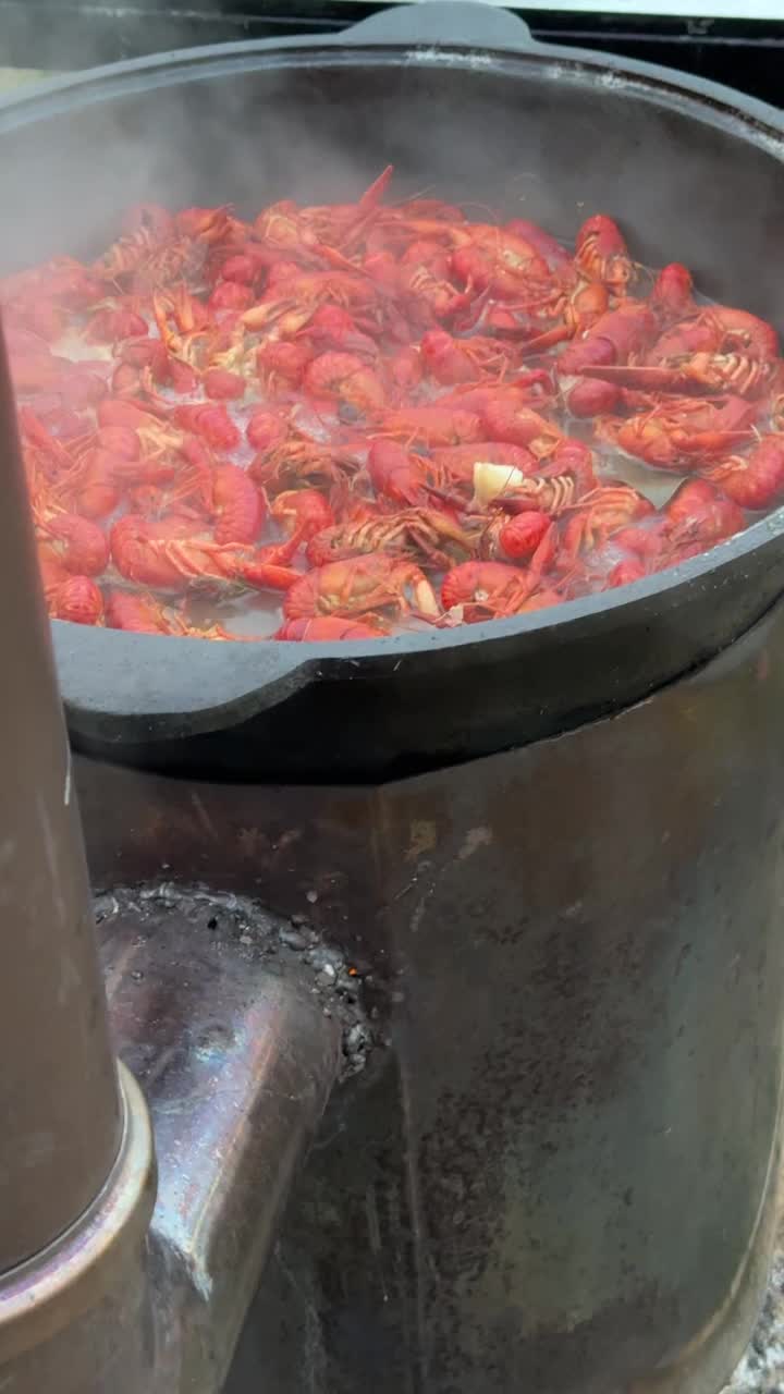 河上的小龙虾在明火上煮着。小龙虾变红了。关闭了。垂直视频。视频下载