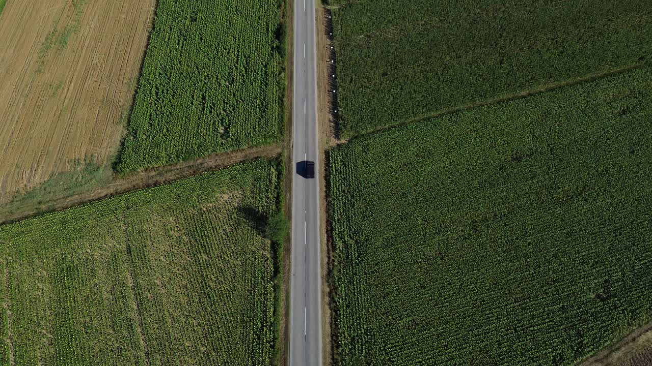 空中无人机镜头的汽车行驶在道路上通过向日葵田4K视频视频素材