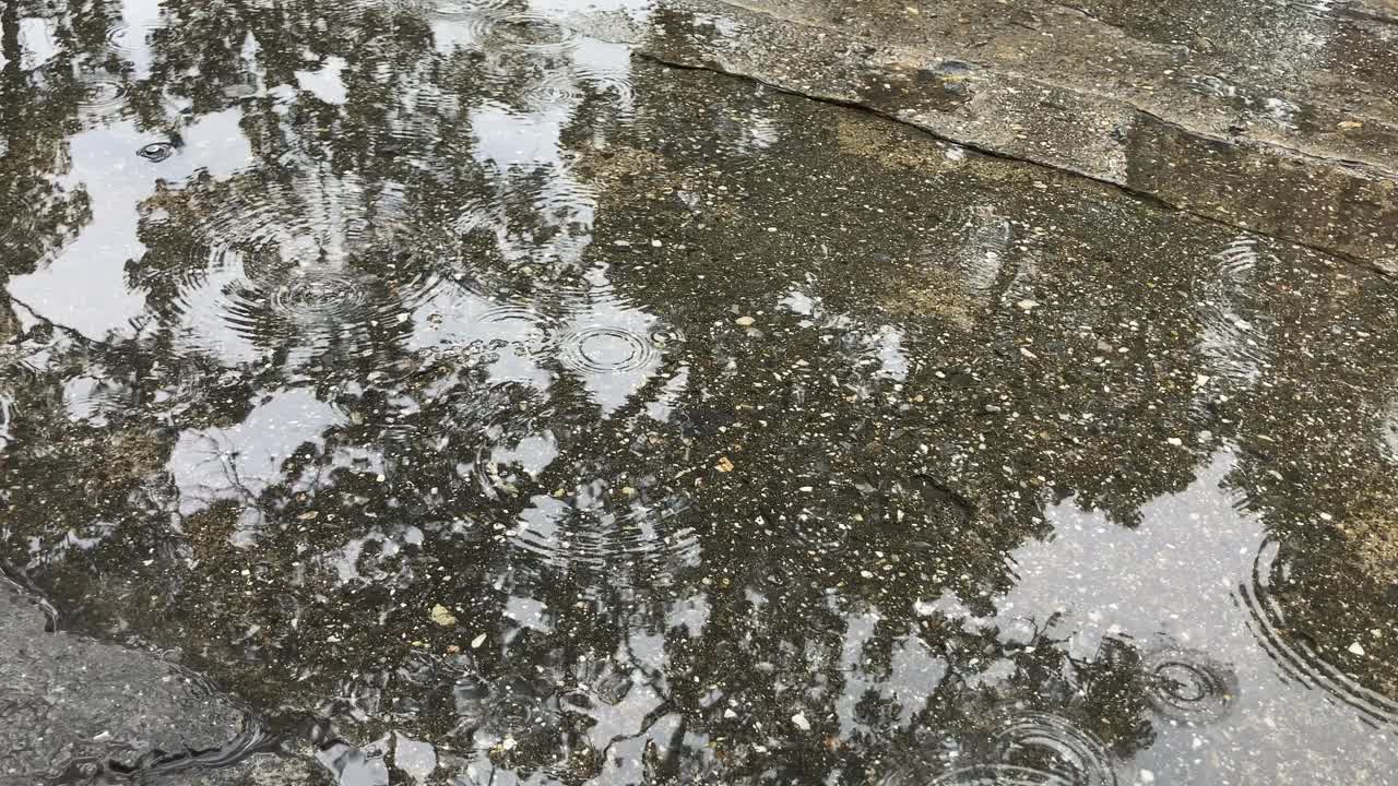 雨下降视频下载