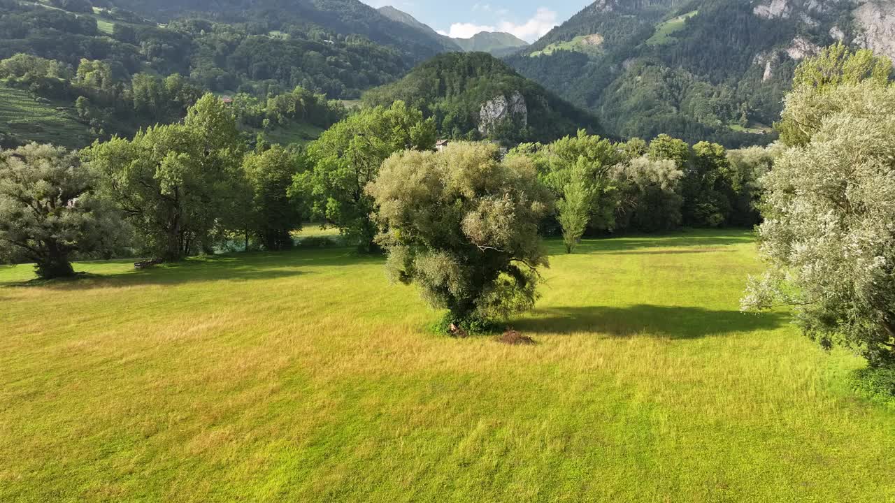 郁郁葱葱的绿色草地被树木和山脉包围，格拉鲁斯，瑞士视频素材