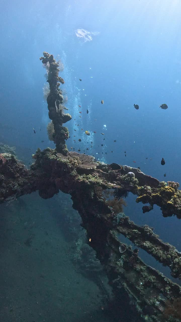 自由海难视频素材