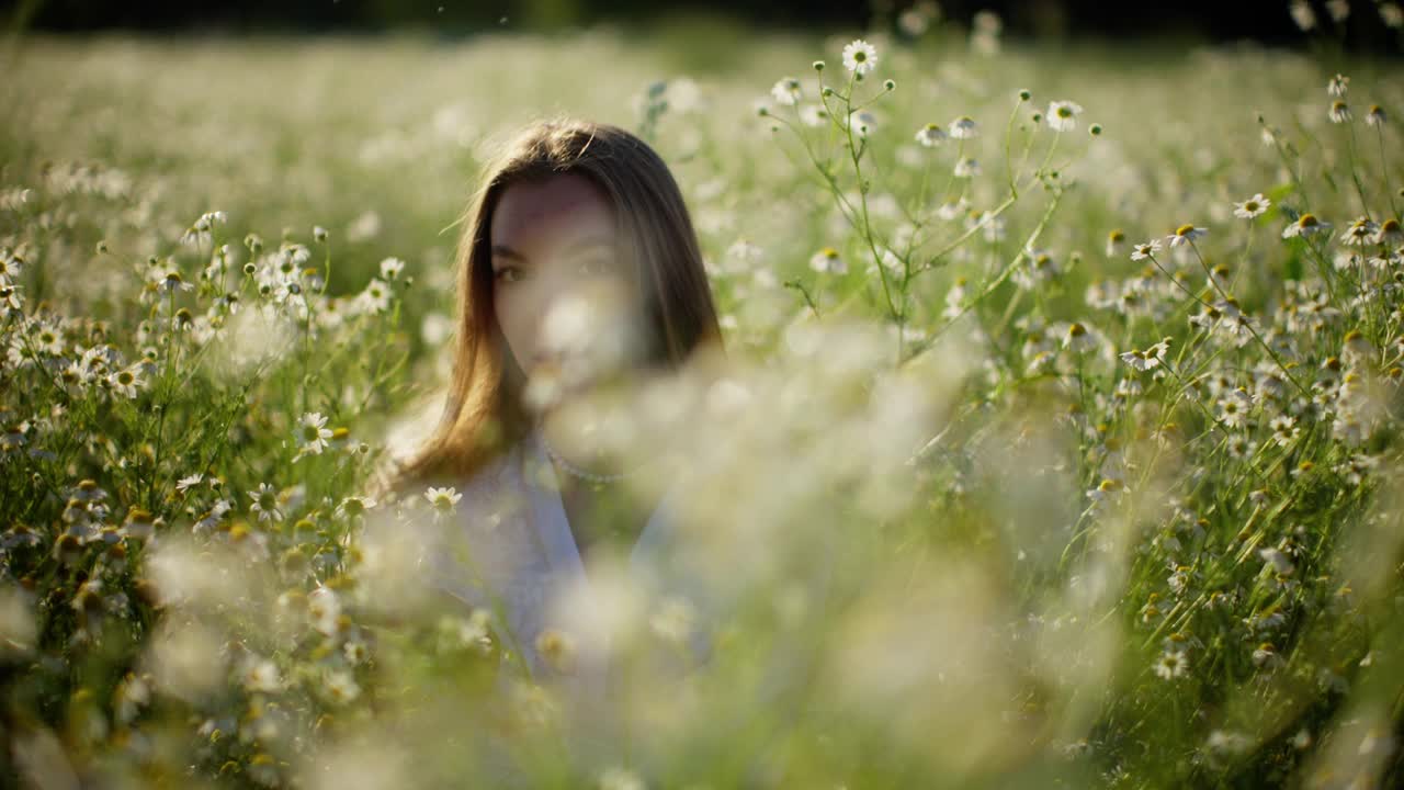 漫步在夕阳下的野花地里的女人视频素材