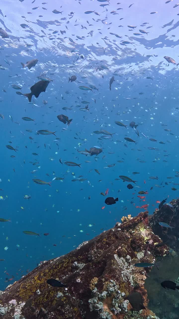 自由海难视频素材