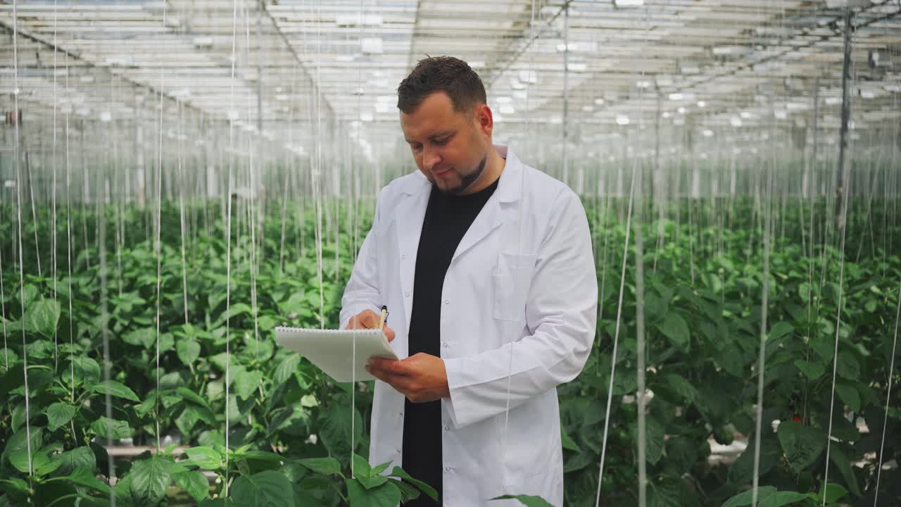 学生学习，分析光合作用过程绿叶有机蔬菜，甜椒在现代温室中生长。生物学家，农业大学研究生，研究叶类蔬菜视频素材